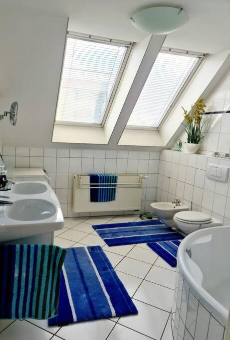 Luxury 4 Bedroom Roof With 3 Balconies & View * Vienne